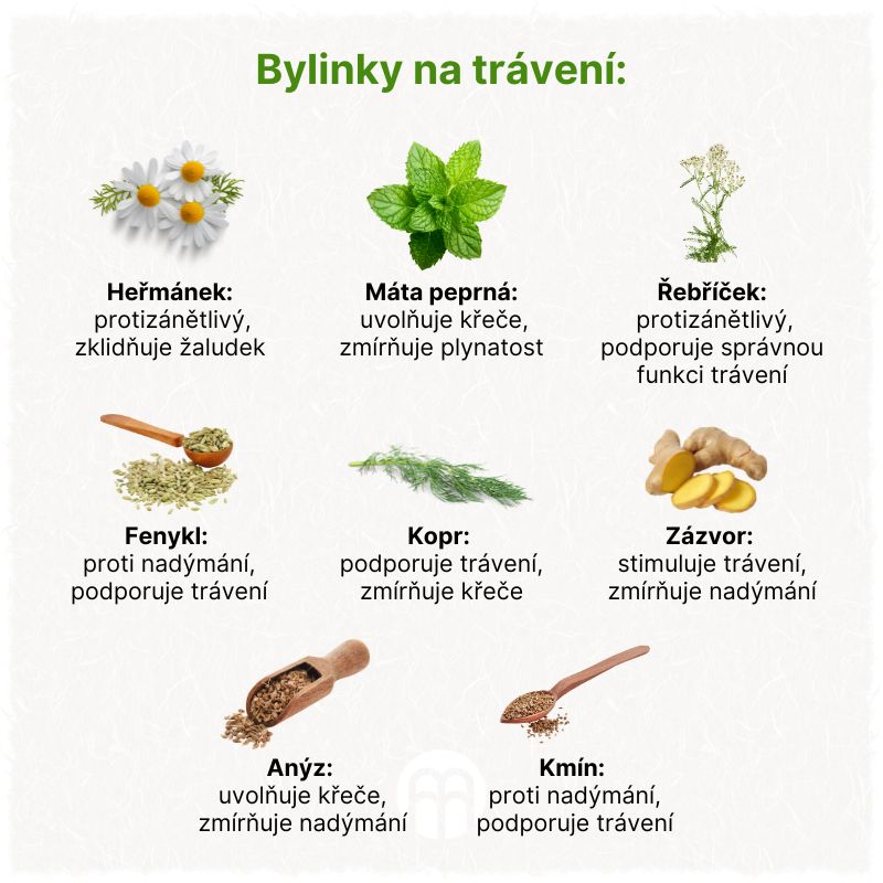 Bylinky na trávení